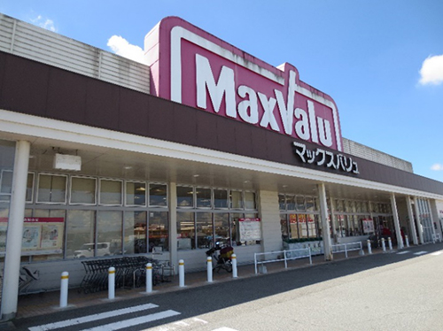 雄岡病院作業療法・買い物プログラム・マックスバリュー