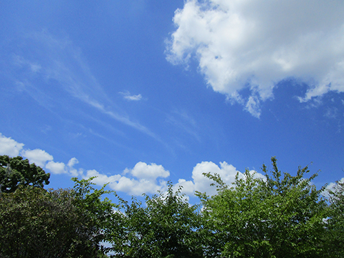 雄岡病院8月ブログ:青い空