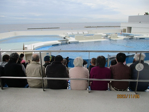 雄岡病院12月ブログ:SUMA　SEA　WORLDのイルカショー:観客席