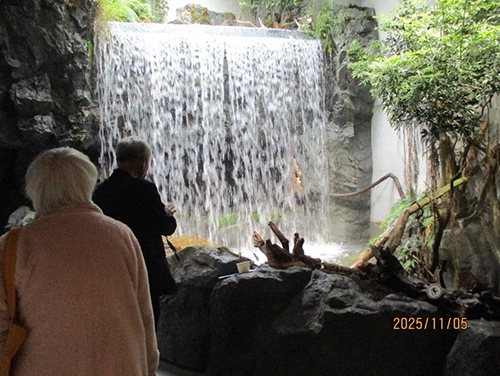 雄岡病院12月ブログ:SUMA　SEA　WORLDの滝