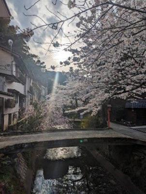 雄岡病院の互助会ブログ：職員旅行計画：豊岡の景色
