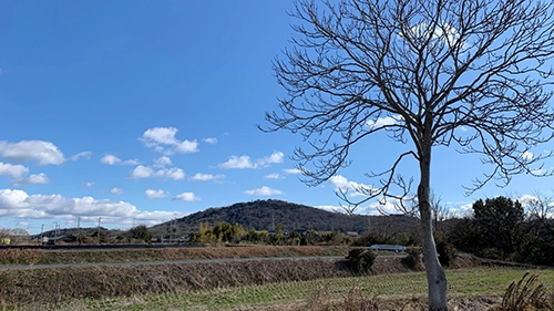 雄岡病院の新春ブログ:雌岡山と青い空