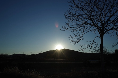 雄岡病院の新春ブログ:雌岡山の初日の出