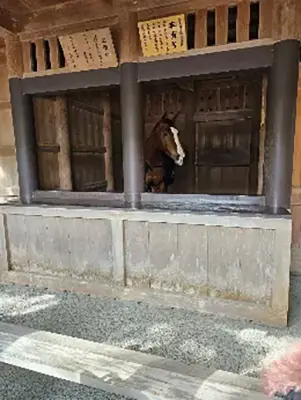 雄岡病院の職員慰安旅行（2026年）：伊勢神宮へ参拝：神馬